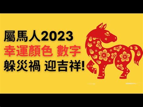 屬馬幸運數字|2024年屬馬人必知幸運數字